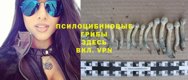 спиды Армянск