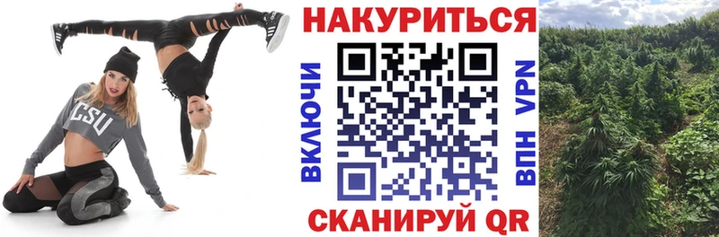 цены Заозёрск Конопля семена